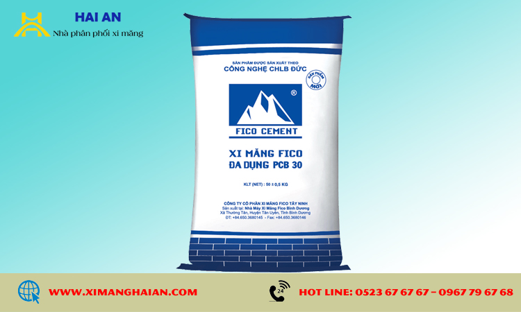 Xi măng Fico PCB30 